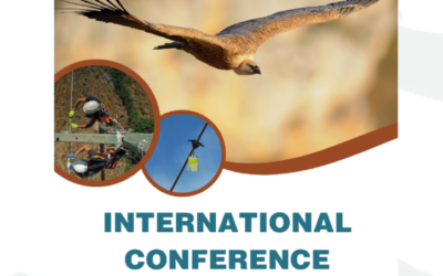 Conferencia Internacional sobre el impacto de las líneas eléctricas