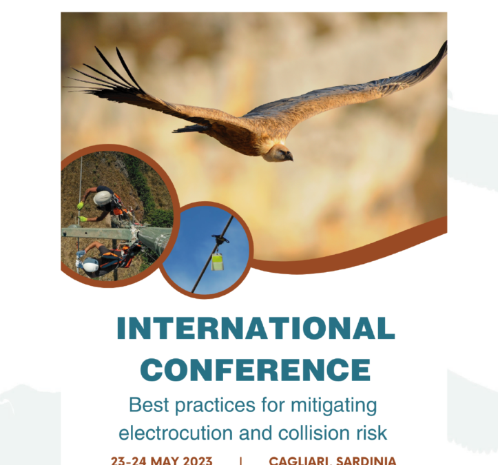 Conférence internationale sur l’impact des lignes électriques